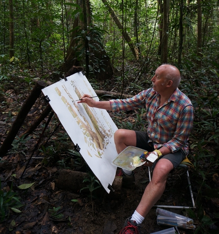 Tony painting in the rainforest near Paku Falls, Mulu, Borneo