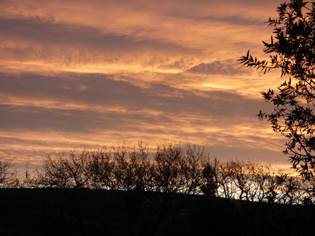 A winter sunrise view in the distance