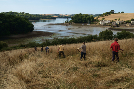 Volunteers and Reserves staff scything at Churchtown Farm