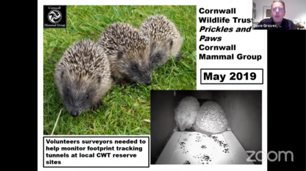 Counting hedgehogs using hedgehog tunnels