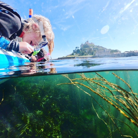 Young child admiring the seagrass in the surrounding waters of St Michael's Mount