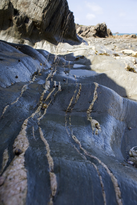 Lines of quartz on the rocky shore
