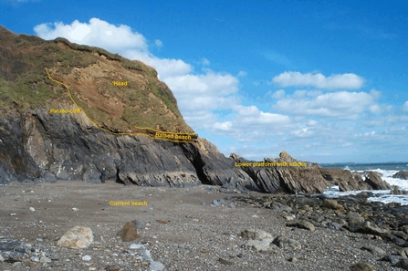 An annotated image of Nelly's Cove County Geology Site