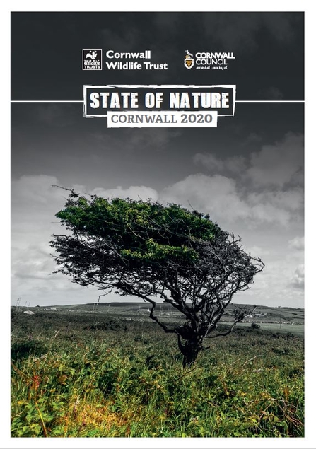 State Of Nature Cornwall 2020 Report