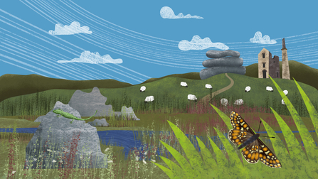 Moorland - Cornwall's Nature Recovery Network