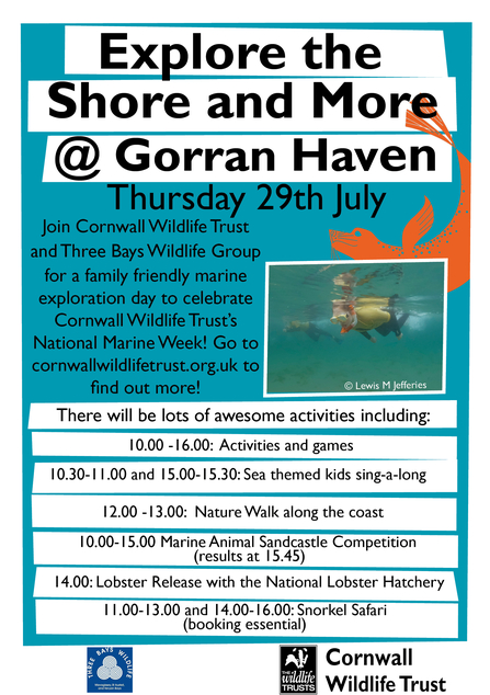 Activity timings. 10.00-16.00: Activites and games, 10.30-11.00 and 15.00-15.30: Kids sing-a-long, 12.00-13.00: Nature walk, 10.00-15.00 marine animal sandcastle competition, 14.00 Lobster release, 11.00-13.00 and 14.00-16.00: snorkel safaris