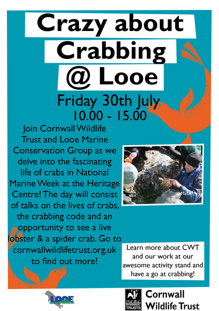Looe flyer