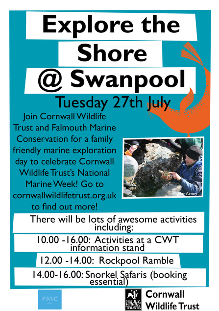 Swanpool activity times. 10.00-16.00: Activities at CWT info stand. 12.00-14.00: Rockpool rambles. 14.00-16.00: snorkel Safari
