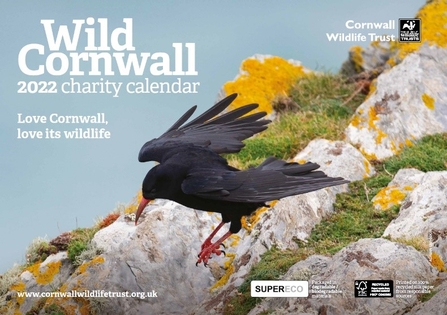 Wild Cornwall 2022 Calendar