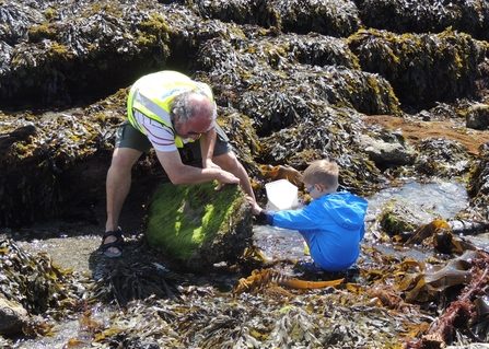 Looe MCG volunteers at a Rockpool Ramble. Image by Gill Bridges.