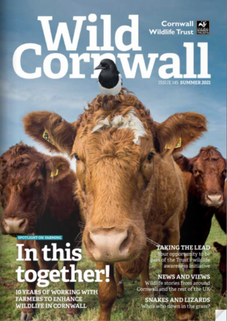 Wild Cornwall - Summer 2021 - Issue 145