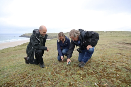 Jon Cripps showing Carolyn Cadman, Cornwall Wildlife Trust CEO, and Tony Juniper, Natural England Chair, some of the rare species found at Penhale Dunes which Dynamic Dunescapes is working to support. Image by Emma Brisdion.