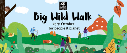 Website Header - Big Wild Walk