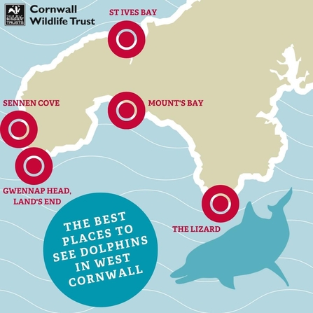 Map of the five best locations to see dolphins in West Cornwall