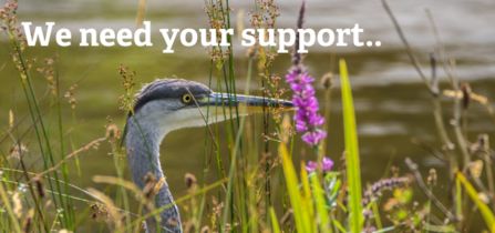 Image of heron by pond with text 'need your support'