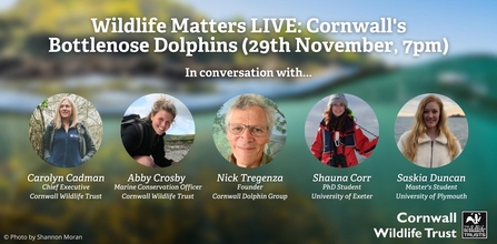 Cornwall Wildlife Trust's Wildlife Matters LIVE - Cornwall's Bottlenose Dolphins Event Panelists