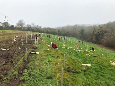 Tree planting gets underway on a farm near Argal Reservoir