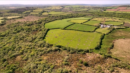 The landscape of Creney Farm and Helman Tor, Image by Ebb & Flow Media | Helman Tor Land Purchase Appeal