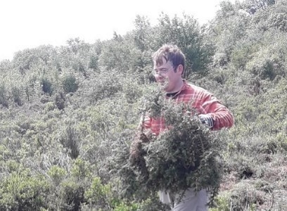 Kernow Glassa volunteer clearing scrub at a Cornwall Wildlife Trust nature reserve