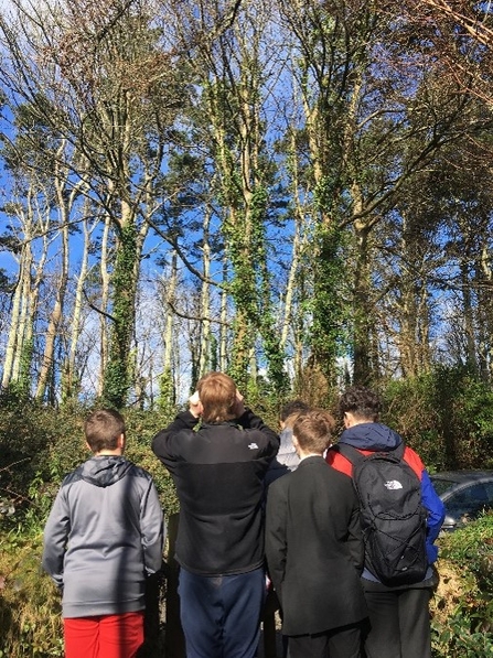 Your Shore team working with Wildlife Club at Mounts Bay Academy