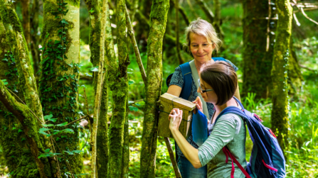 Volunteers checking dormouse boxes at Cornwall Wildlife Trust's Cabilla & Redrice nature reserve. Image by Ben Watkins