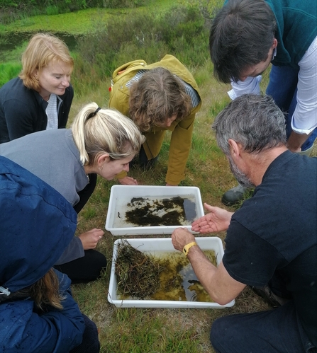 Cornish Lithium on a guided walk