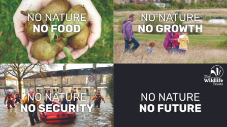 The Wildlife Trusts' #DefendNature Postcard