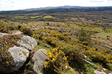 Helman Tor