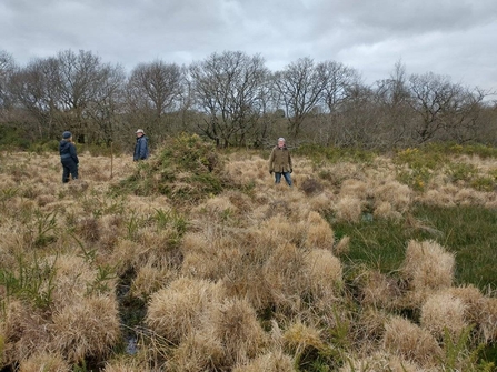 Kernow Glassa volunteers working at Chark Moor