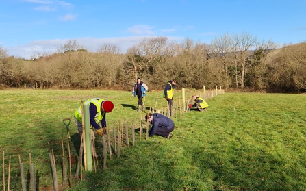 KG volunteers tree planting