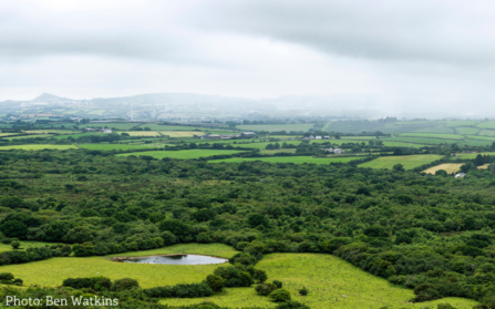 View from Helman Tor