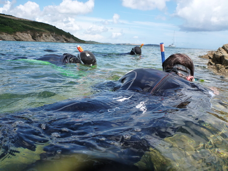 Snorkling