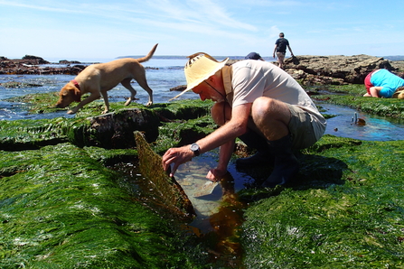 Stackhouse Cove Rockpool