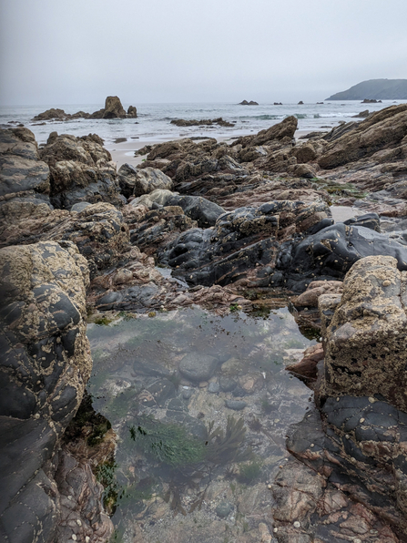 Rock pools at Kennack Sands