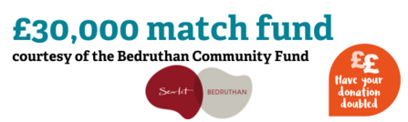 Match funding image