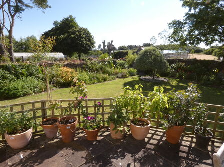 A sunny shot of Meadowside lawn, showing 8 terracotta pots with a variety of plants growing in them.
