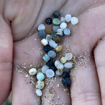 Plastic ‘nurdles’ collected during Love Your Beach, 2023