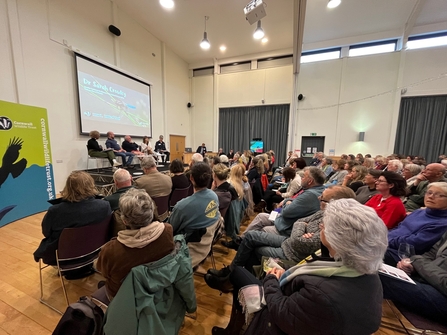 Audience and panel