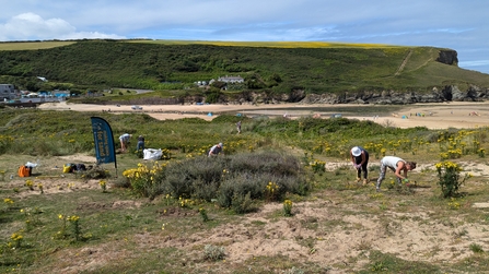 People participating in a conservation effort on a coastal dune. A banner reading 'Making space for sand' and some tools are visible. The beach is in the background.