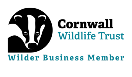 Wilder Logo