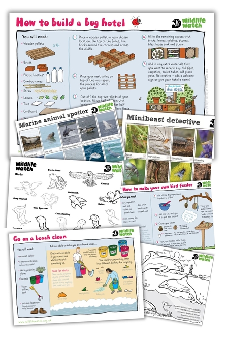 Activity Sheet