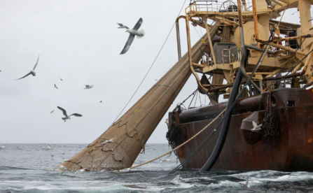 Super trawler