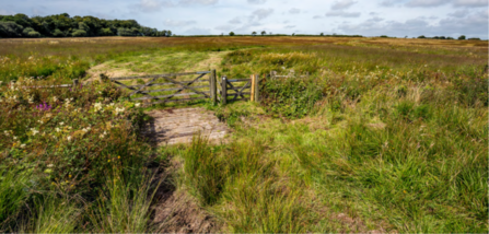 Gate at Greena Moor