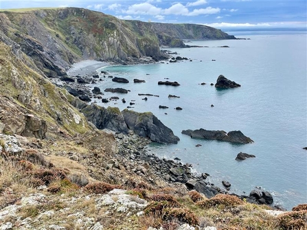 Higher Sharpnose Point (north of Bude). Image by Matt Walpole