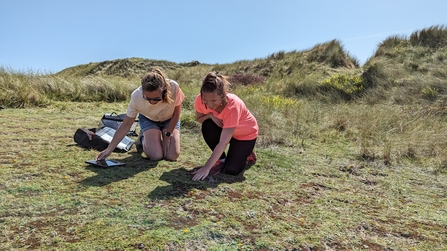 Ecologists surveying a sand dune