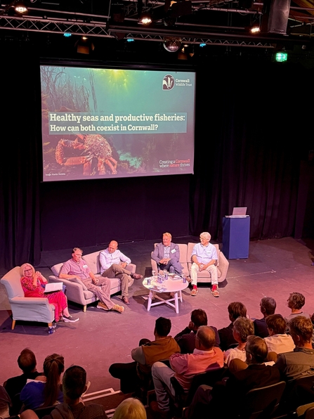 Panellists discuss the issue of healthy seas at cornwall wildlife trust 2025 panel discussion