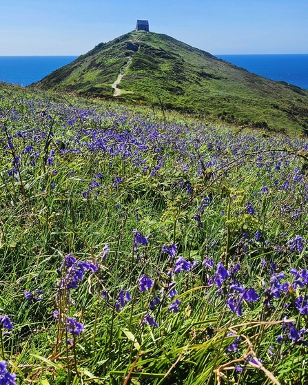Rame Head
