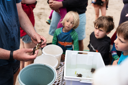 Identifying rockpool finds