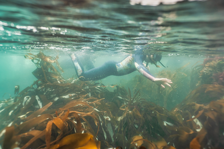 Snorkel safari