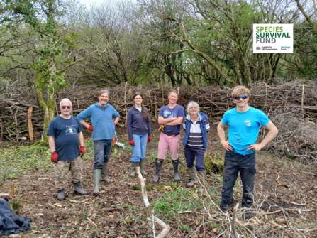 Helman Tor volunteers